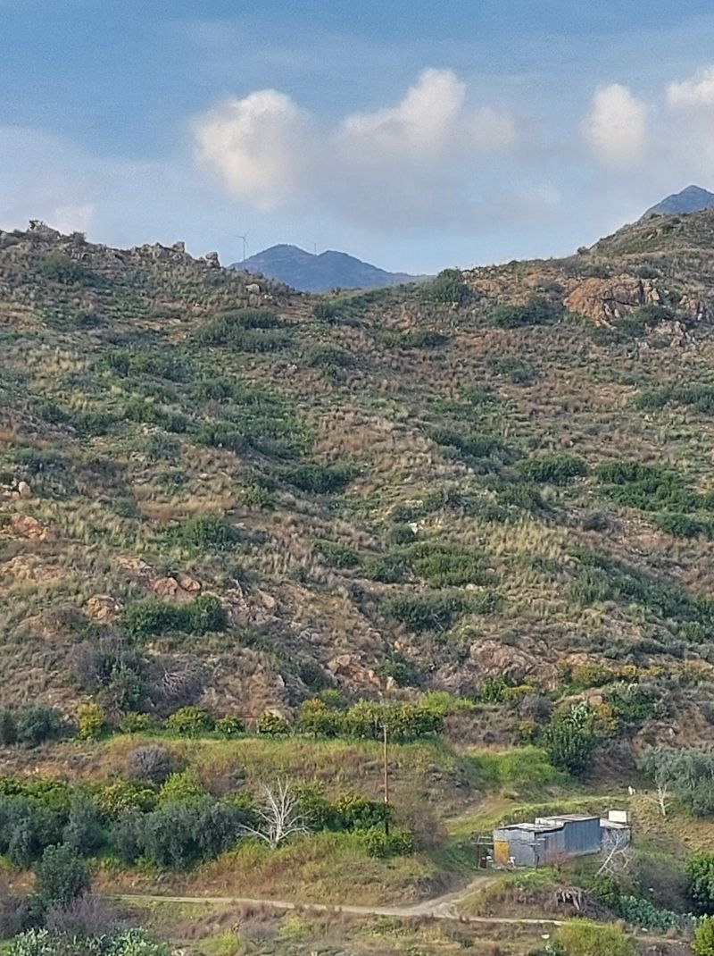 northernwanderer
