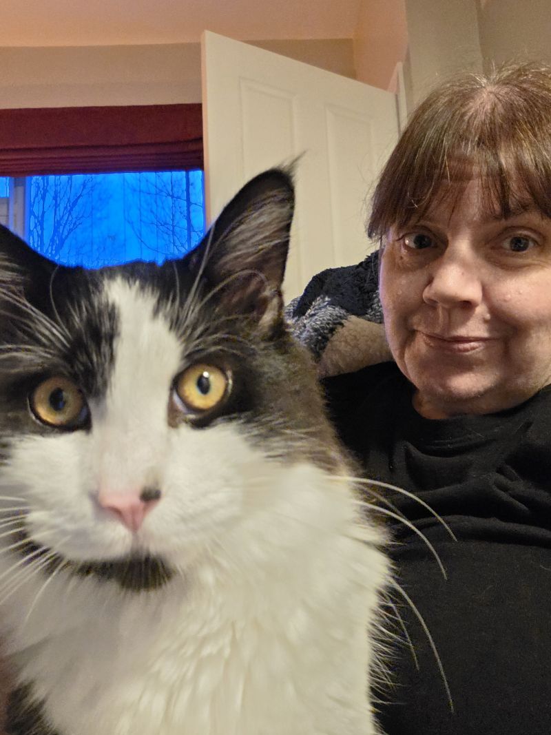 stargazer77 stargazer77