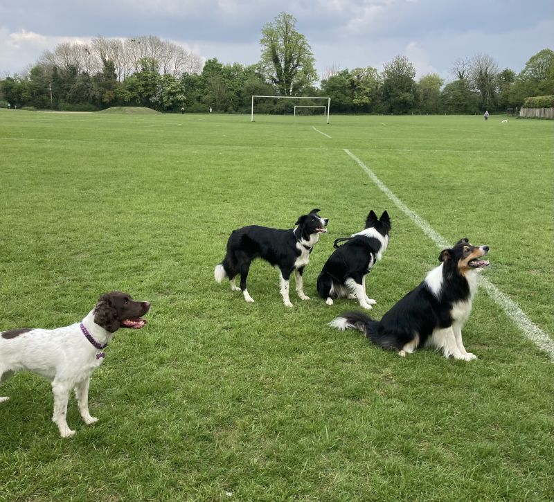 Summer26LEK Summer26LEK