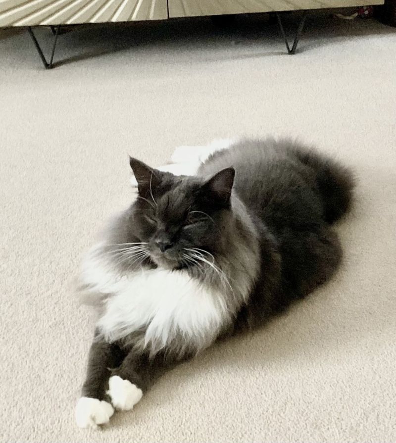 Summer26LEK Summer26LEK