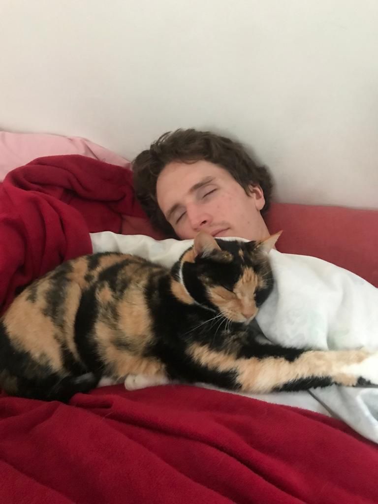 Silver_557 Silver_557