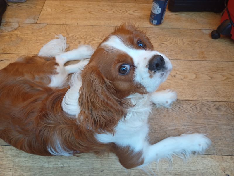 Heathfield24 Heathfield24